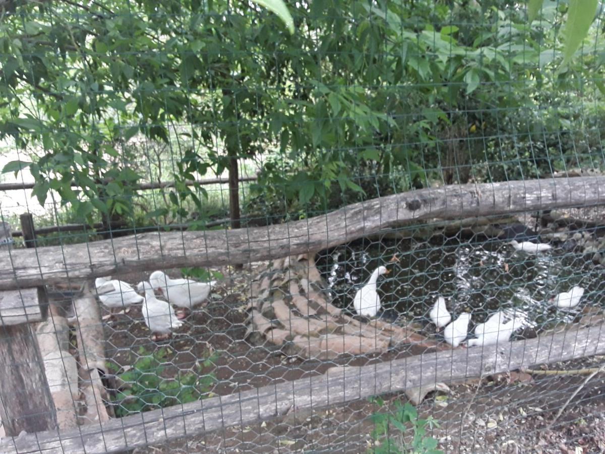 Il Sentiero Villa Acquapendente Dış mekan fotoğraf